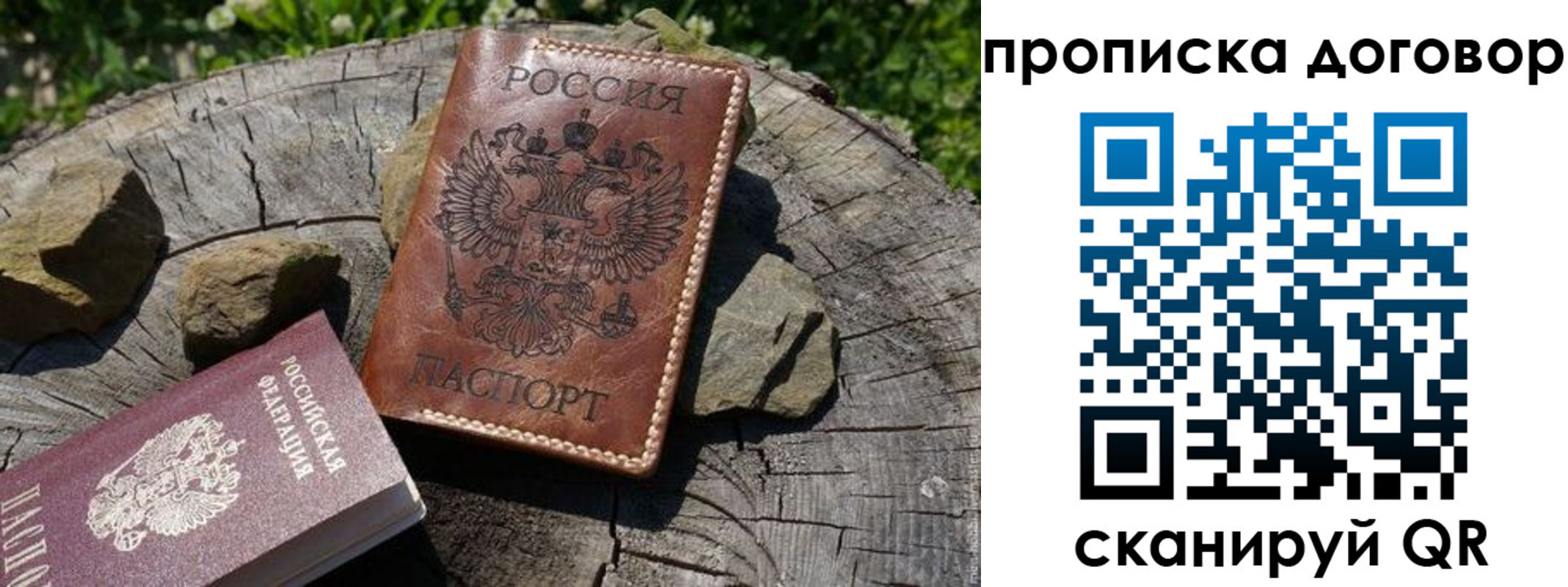 временная регистрация гарантия в Заинске